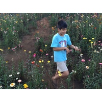 รูปถ่าย ไทย(Thailand) อุทยานแห่งชาติภูหินร่องกล้า(Phu Hin Rong Kla National Park) 2014-12 102