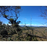 รูปถ่าย ปานามา(Panama) ดาบิด(David) 2015-03 20