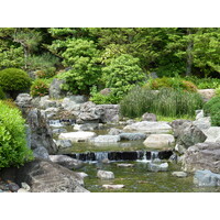 รูปถ่าย ญี่ปุ่น(Japan) เกียวโต(Kyoto) ปราสาทนิโจ(Nijo Castle) 2010-06 45