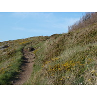 รูปถ่าย ฝรั่งเศส(France) แซ็งกูลง(St Coulomb) 2010-04 41