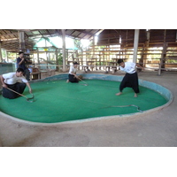รูปถ่าย ไทย(Thailand) เชียงใหม่(Chiang Mai) ฟาร์มงูแม่สา(Mae Sa Snake Farm) 2010-12 76