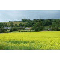รูปถ่าย อังกฤษ(United Kingdom) สกอตแลนด์(Scotland) เบรคิน(Brechin) 2011-07 4