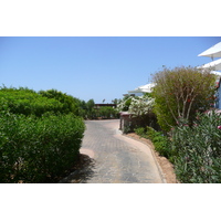 รูปถ่าย อียิปต์(Egypt) ชาร์มเอลชีค(Sharm el Sheikh) โรงแรมไฮแอต(Hyatt Hotel) 2008-06 16