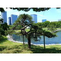 รูปถ่าย ญี่ปุ่น(Japan) โตเกียว(Tokyo) สวนฮามะริคิว(Hama rikyu Gardens) 2010-06 19