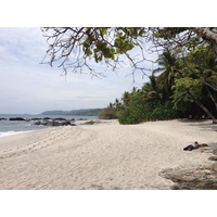 รูปถ่าย คอสตาริกา(Costa Rica) มอนเตซูมา(Montezuma) 2015-03 41