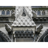 รูปถ่าย ฝรั่งเศส(France) ปารีส(Paris) มหาวิหารน็อทร์-ดาม(Notre Dame) 2007-05 164