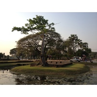รูปถ่าย ไทย(Thailand) สุโขทัย(Sukhothai) 2014-02 32