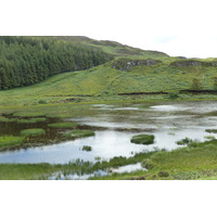 รูปถ่าย อังกฤษ(United Kingdom) เกาะสกาย(Skye) 2011-07 127