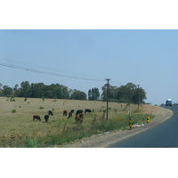 รูปถ่าย แอฟริกาใต้(South Africa) ถนนจากเนลสปรุตไปโจฮันเนสเบิร์ก(Nelspruit to Johannesburg road) 2008-09 86