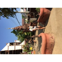 รูปถ่าย ไทย(Thailand) เชียงใหม่(Chiang Mai) 2014-12 62