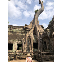 รูปถ่าย กัมพูชา(Cambodia) เสียมราฐ(Siem Reap) ปราสาทตาพรหม(Ta Prohm) 2023-01 74