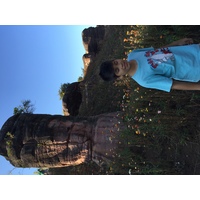 รูปถ่าย ไทย(Thailand) อุทยานแห่งชาติภูหินร่องกล้า(Phu Hin Rong Kla National Park) 2014-12 34