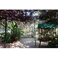 รูปถ่าย ไทย(Thailand) เชียงใหม่(Chiang Mai) ฟาร์มงูแม่สา(Mae Sa Snake Farm) 2010-12 55