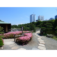 รูปถ่าย ญี่ปุ่น(Japan) โตเกียว(Tokyo) สวนฮามะริคิว(Hama rikyu Gardens) 2010-06 73