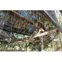 รูปถ่าย ไทย(Thailand) เชียงใหม่(Chiang Mai) ฟาร์มงูแม่สา(Mae Sa Snake Farm) 2010-12 59