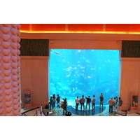 รูปถ่าย สหรัฐอาหรับเอมิเรตส์(United Arab Emirates) ดูไบ(Dubai) โรงแรมแอตแลนติส(Atlantis Hotel) 2014-02 189