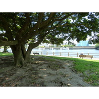 รูปถ่าย ญี่ปุ่น(Japan) โตเกียว(Tokyo) สวนฮามะริคิว(Hama rikyu Gardens) 2010-06 89