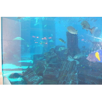 รูปถ่าย สหรัฐอาหรับเอมิเรตส์(United Arab Emirates) ดูไบ(Dubai) โรงแรมแอตแลนติส(Atlantis Hotel) 2014-02 155