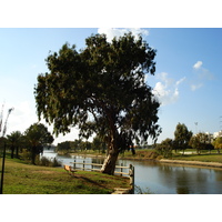รูปถ่าย อิสราเอล(Israel) เทลอาวีฟ(Tel Aviv) 2006-12 108