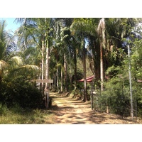 รูปถ่าย คอสตาริกา(Costa Rica) อูบีตา(Uvita) 2015-03 42
