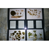 รูปถ่าย ฝรั่งเศส(France) ตาราสกง(Tarascon) ปราสาทตาราสกง(Tarascon Castle) 2008-04 0
