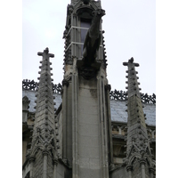 รูปถ่าย ฝรั่งเศส(France) ปารีส(Paris) มหาวิหารน็อทร์-ดาม(Notre Dame) 2007-05 106