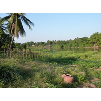 รูปถ่าย ไทย(Thailand) พิษณุโลก(Phitsanulok) จอมทอง(Chom Thong) 2009-12 45