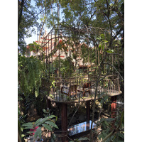 รูปถ่าย ไทย(Thailand) เชียงใหม่(Chiang Mai) ร้านอาหารเฟซเซส(Faces Restaurant) 2026-01 6