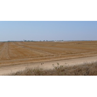 รูปถ่าย อิสราเอล(Israel) ถนนจากอัชเคลอนไปอาราด(Ashkelon to Arad road) 2007-06 23