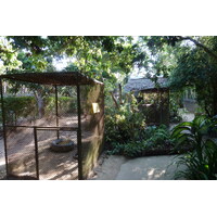 รูปถ่าย ไทย(Thailand) เชียงใหม่(Chiang Mai) ฟาร์มงูแม่สา(Mae Sa Snake Farm) 2010-12 54