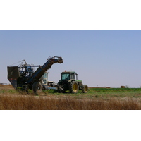 รูปถ่าย อิสราเอล(Israel) ถนนจากอัชเคลอนไปอาราด(Ashkelon to Arad road) 2007-06 35