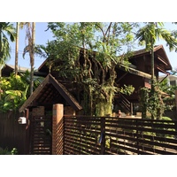 รูปถ่าย ไทย(Thailand) เชียงใหม่(Chiang Mai) 2014-12 31