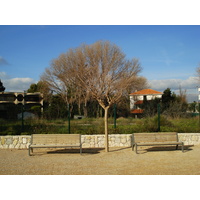 รูปถ่าย ฝรั่งเศส(France) วีลเนิฟ-ลูแบ(Villeneuve Loubet) หาดวีลเนิฟ-ลูแบ(Villeneuve Loubet Beach) 2007-01 11