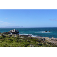 รูปถ่าย แอฟริกาใต้(South Africa) เฮอร์มานัส(Harmanus) 2008-09 227