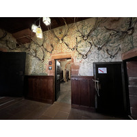 รูปถ่าย ฝรั่งเศส(France) ปราสาทโอ-เคอนิกส์บูร์ก(Koenigsbourg Castle) 2023-10 111