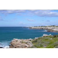 รูปถ่าย แอฟริกาใต้(South Africa) เฮอร์มานัส(Harmanus) 2008-09 219