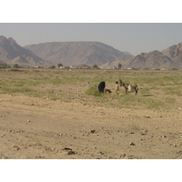 รูปถ่าย จอร์แดน(Jordan) ทะเลทรายวาดีรัม(Wadi Rum Desert) 2004-10 85