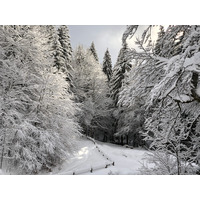 รูปถ่าย ฝรั่งเศส(France) ลากลูซา(La Clusaz) 2017-12 243