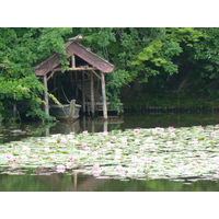 รูปถ่าย ญี่ปุ่น(Japan) เกียวโต(Kyoto) วัดเรียวอันจิ(Ryoanji Temple) 2010-06 75