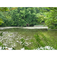 รูปถ่าย ญี่ปุ่น(Japan) เกียวโต(Kyoto) วัดเรียวอันจิ(Ryoanji Temple) 2010-06 66