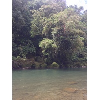 รูปถ่าย คอสตาริกา(Costa Rica) แม่น้ำปากัวเร(Pacuare River) 2015-03 174
