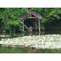 รูปถ่าย ญี่ปุ่น(Japan) เกียวโต(Kyoto) วัดเรียวอันจิ(Ryoanji Temple) 2010-06 59