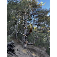 รูปถ่าย ฝรั่งเศส(France) คอร์สิคา(Corsica) ภูเขามอนเตชินโต(Monte Cinto) 2023-10 79
