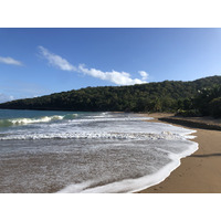 รูปถ่าย กวาเดอลูป(Guadeloupe) หาดลาแปร์ล(La Perle Beach) 2021-02 103