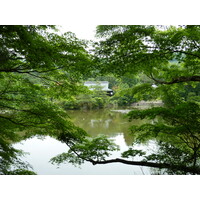 รูปถ่าย ญี่ปุ่น(Japan) เกียวโต(Kyoto) วัดเรียวอันจิ(Ryoanji Temple) 2010-06 57