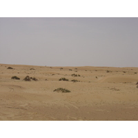 รูปถ่าย สหรัฐอาหรับเอมิเรตส์(United Arab Emirates) จากดูไบไปถนนอัลอิน(Dubai to Al Ain road) 2005-03 17