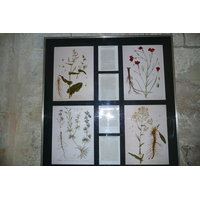 รูปถ่าย ฝรั่งเศส(France) ตาราสกง(Tarascon) ปราสาทตาราสกง(Tarascon Castle) 2008-04 25