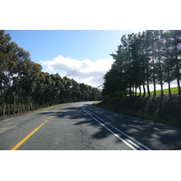 รูปถ่าย แอฟริกาใต้(South Africa) ถนนจากเฮอร์มานัสไปไนส์นา(Harmanus to Knysna road) 2008-09 137