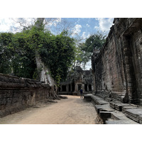 รูปถ่าย กัมพูชา(Cambodia) เสียมราฐ(Siem Reap) ปราสาทตาพรหม(Ta Prohm) 2023-01 41