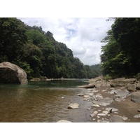 รูปถ่าย คอสตาริกา(Costa Rica) แม่น้ำปากัวเร(Pacuare River) 2015-03 96